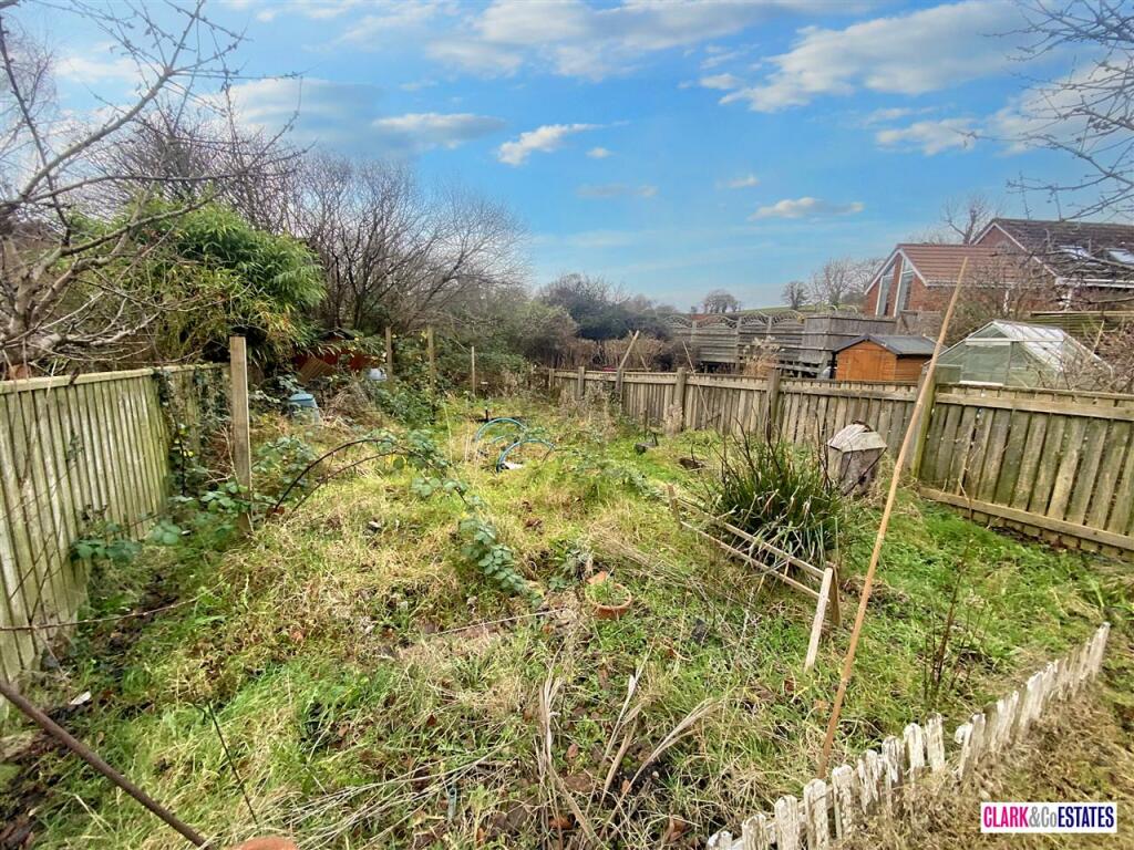 Back Garden