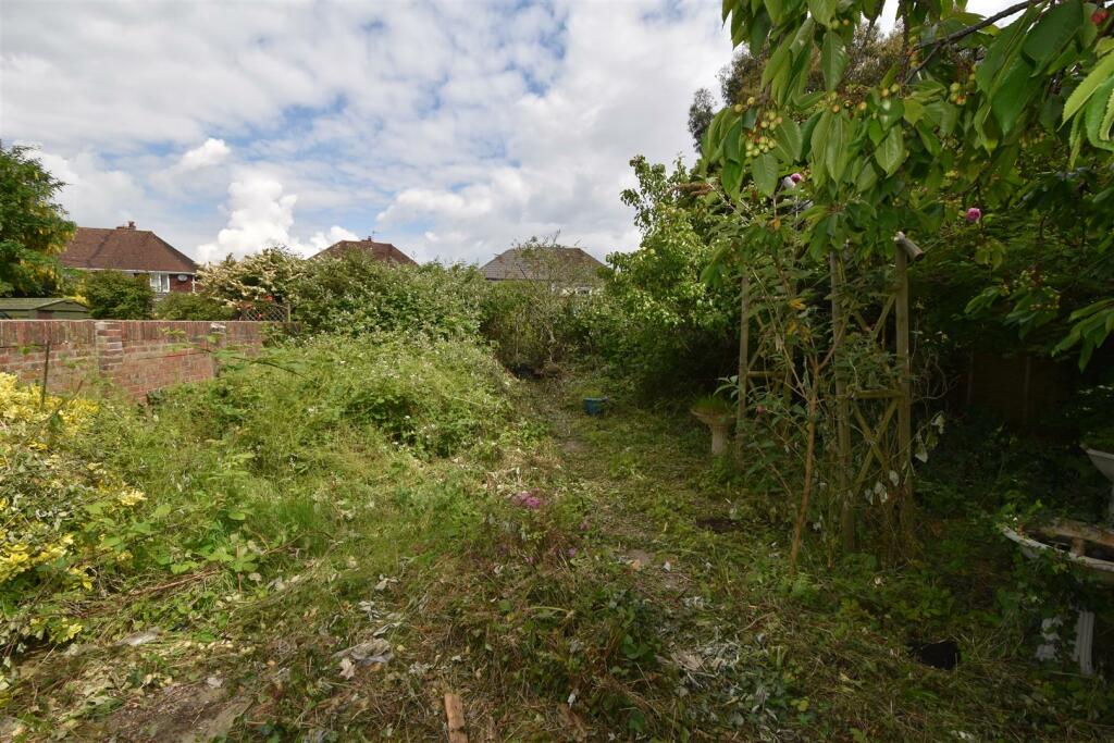 Rear garden.JPG