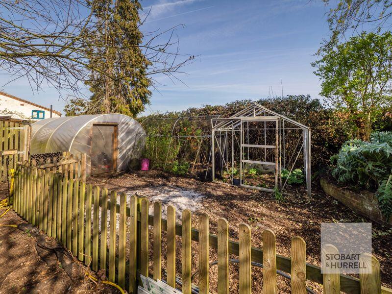 Vegetable Patch