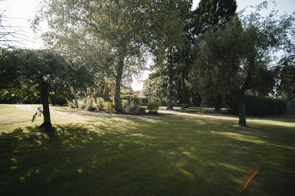 Picture No. 51