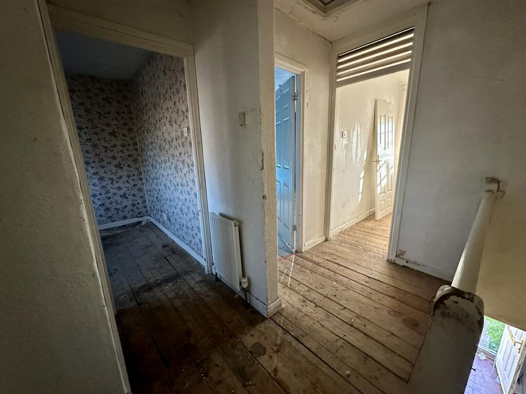 IMG 4194 T202511291136.jpeg