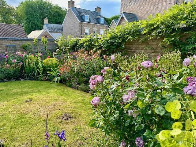 Rear garden 1.jpg