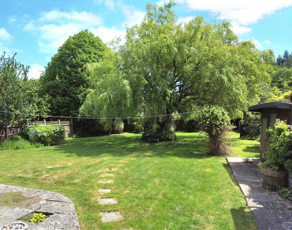 picture taken by the vendor