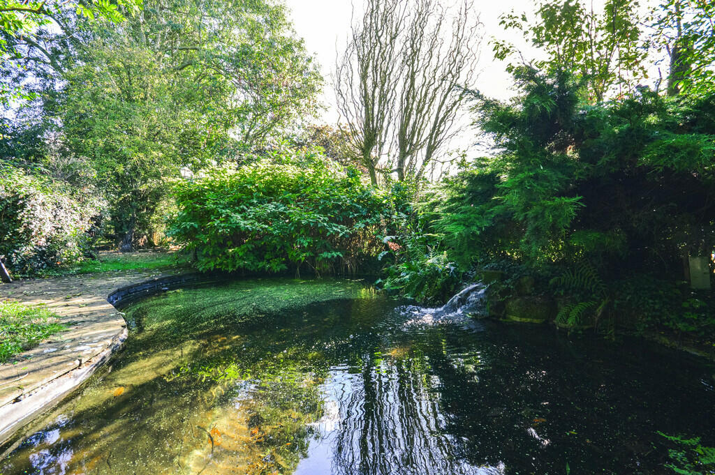 Pond