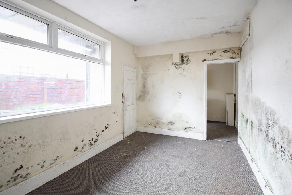 20251115053804 IMG 4452 19ukJ T202511171854.jpg