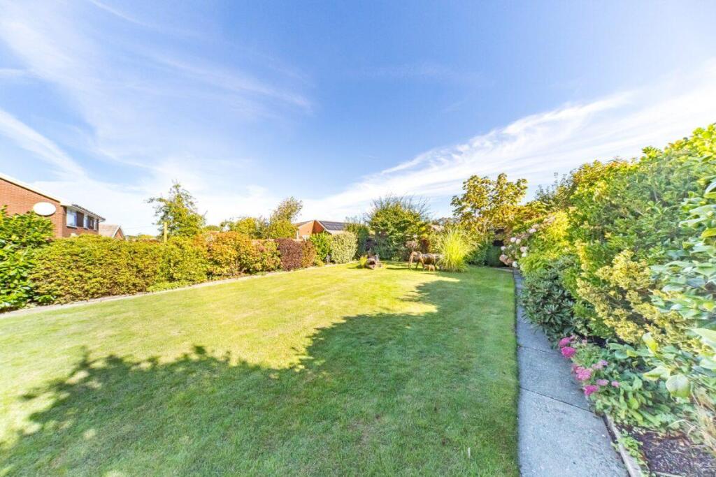 20 Hillschool Road garden.jpg