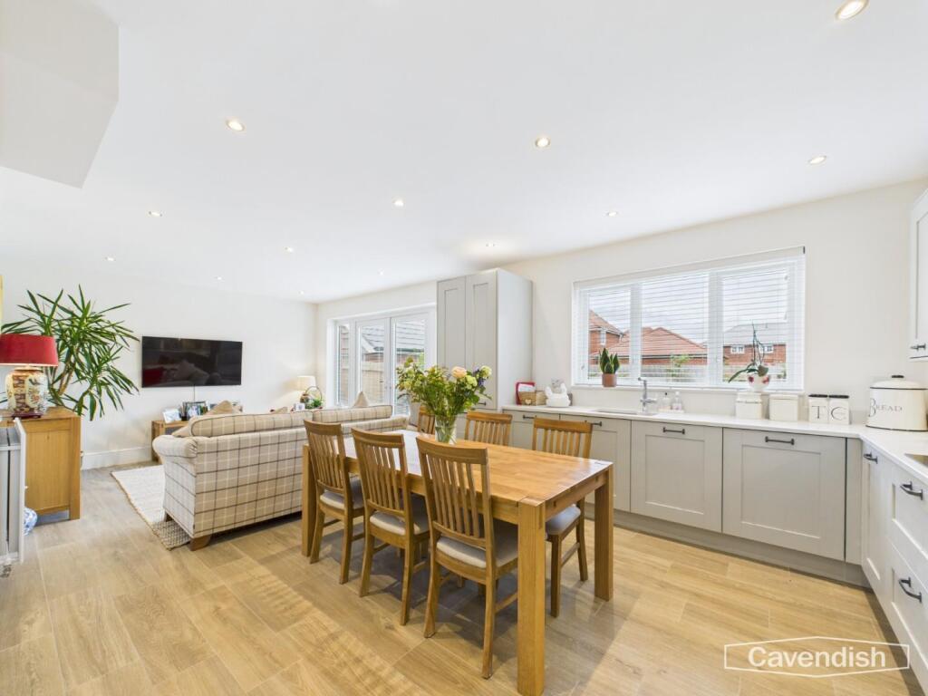 Kitchen / Living Area