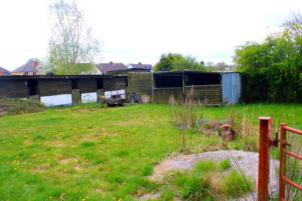 InShot_20250415_200423597
