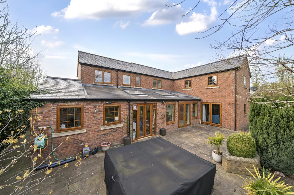 67efeb68e99c9-l-1269301  (1)