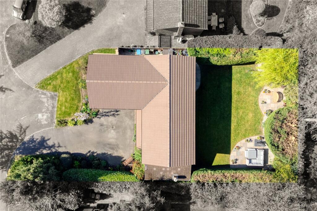 Ariel View