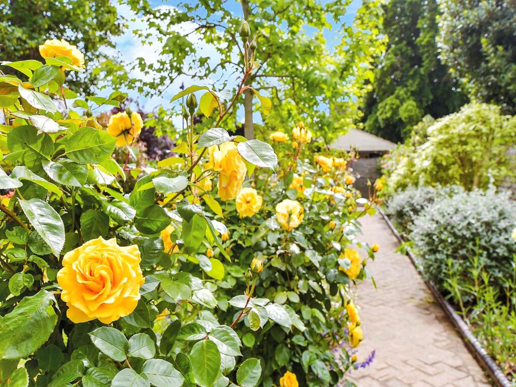 External Lifestyle Photograph