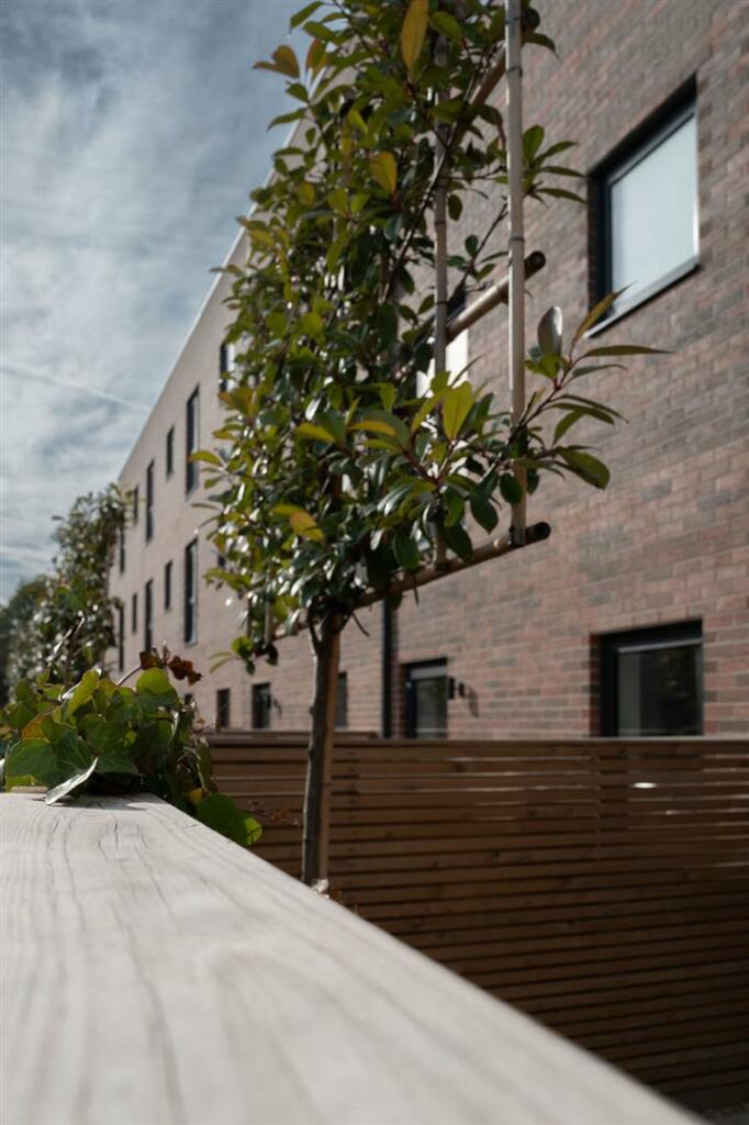 ext with trees.jpg