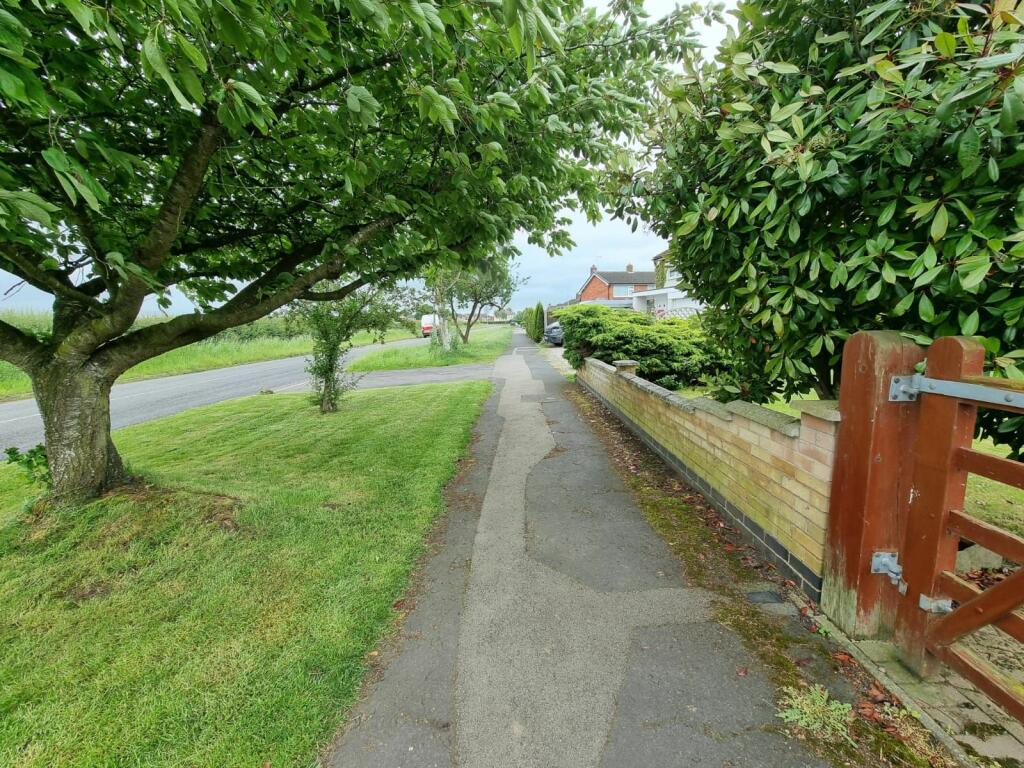 Photograph 23