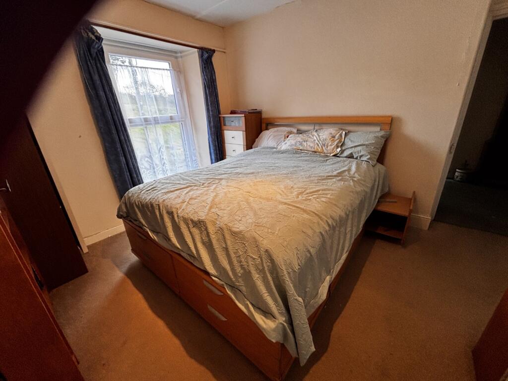 IMG 8187  Large  T202511031322.jpg