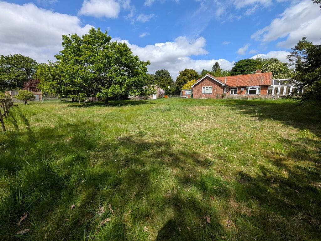 PXL_20250508_1037...