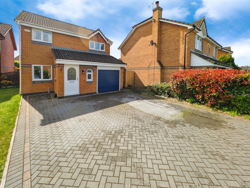 user_edited_photo-9645e4ed_user-edited-04edb9a3-8d