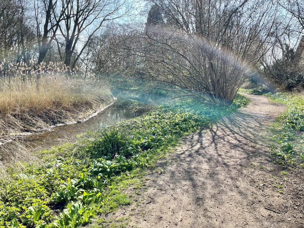 River Walk Nearby