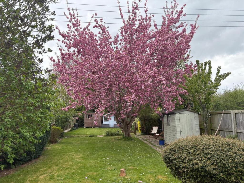 WhatsApp Image 2025-04-15 at 16.39.42_a796589b.jpg