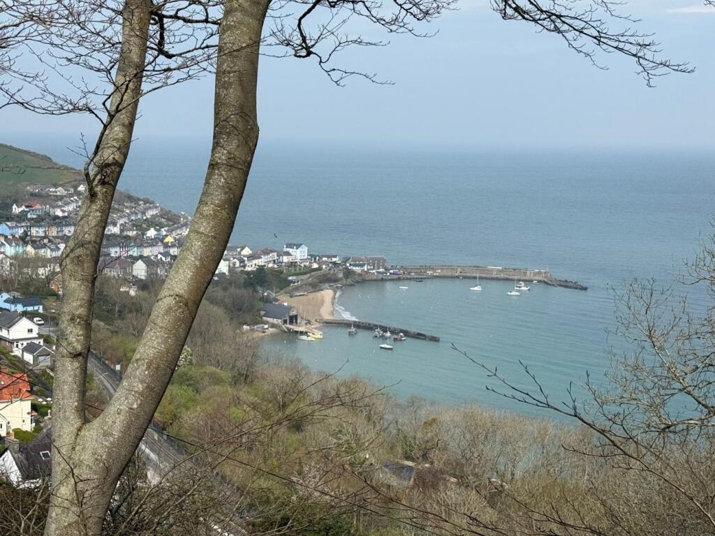 (View)