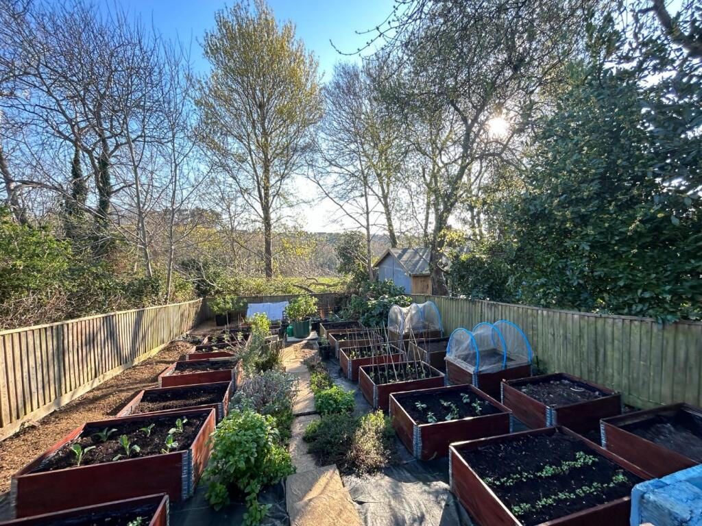 Garden3.JPG