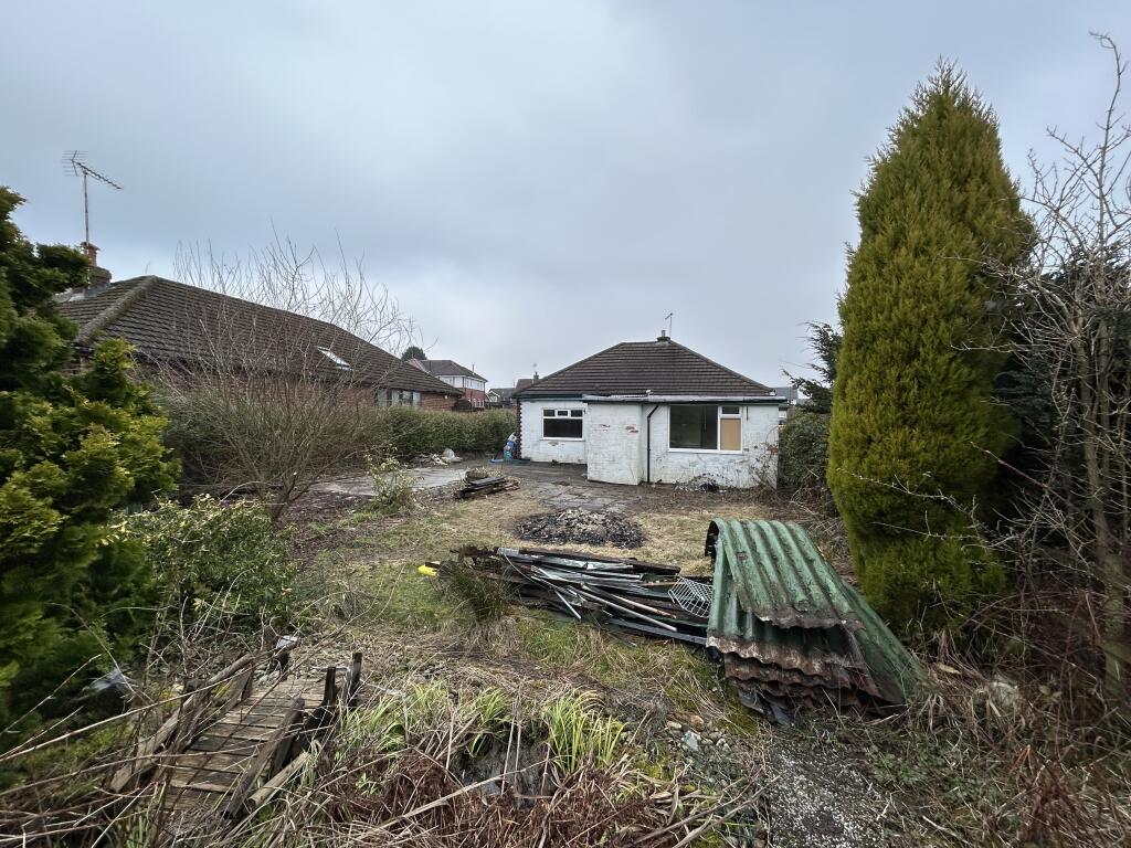 Unknown-6 T202502101623.jpg