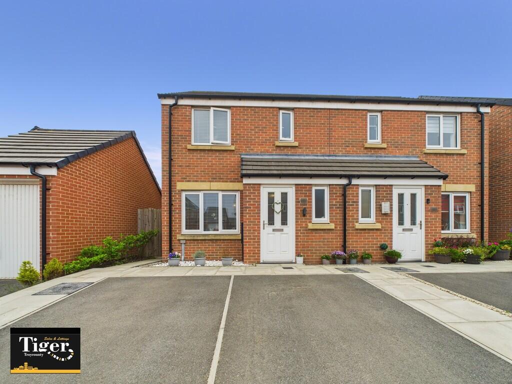 CAM02176G0-PR0601...