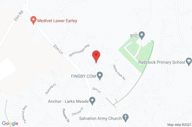 Google Maps Image