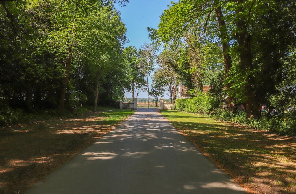Driveway