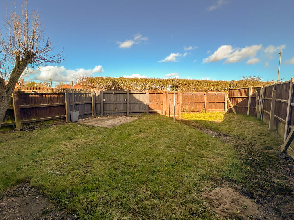 new garden 2