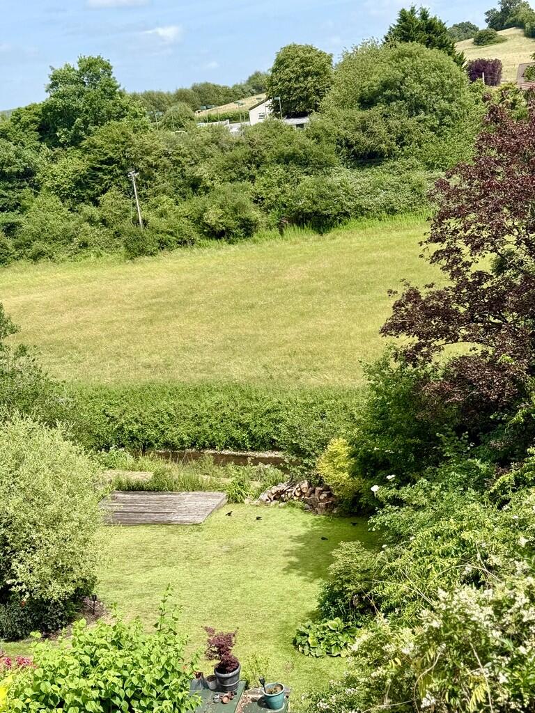 River and Field V...