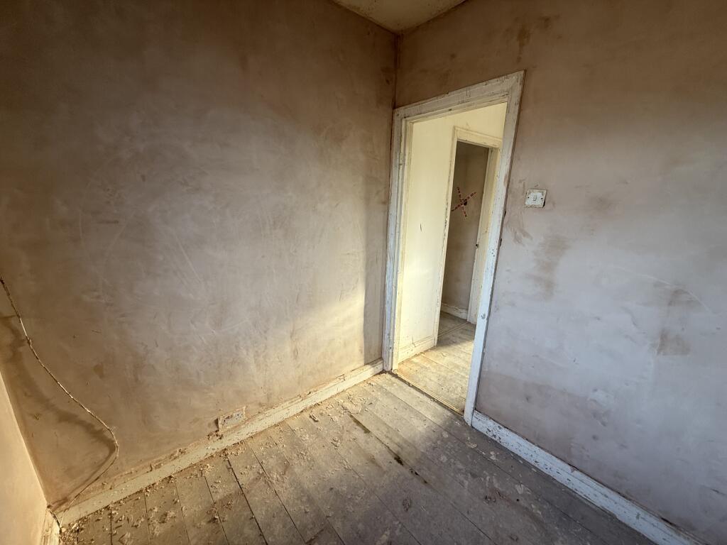 IMG 6725 T202512041558.jpg