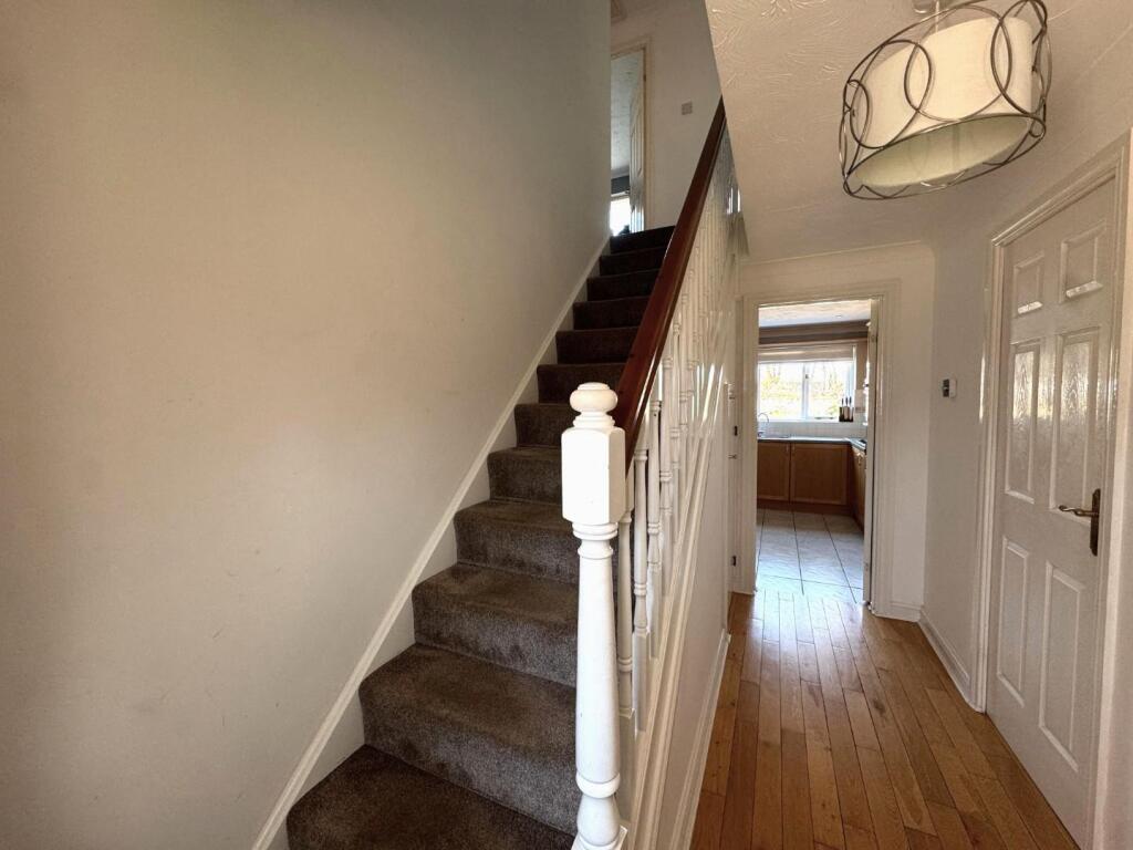 WhatsApp Image 2025-04-02 at 16.09.04_3676c7a9.jpg