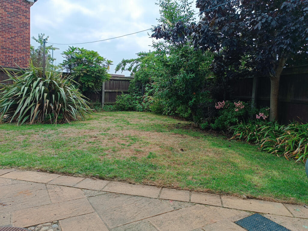 Rear Garden 2