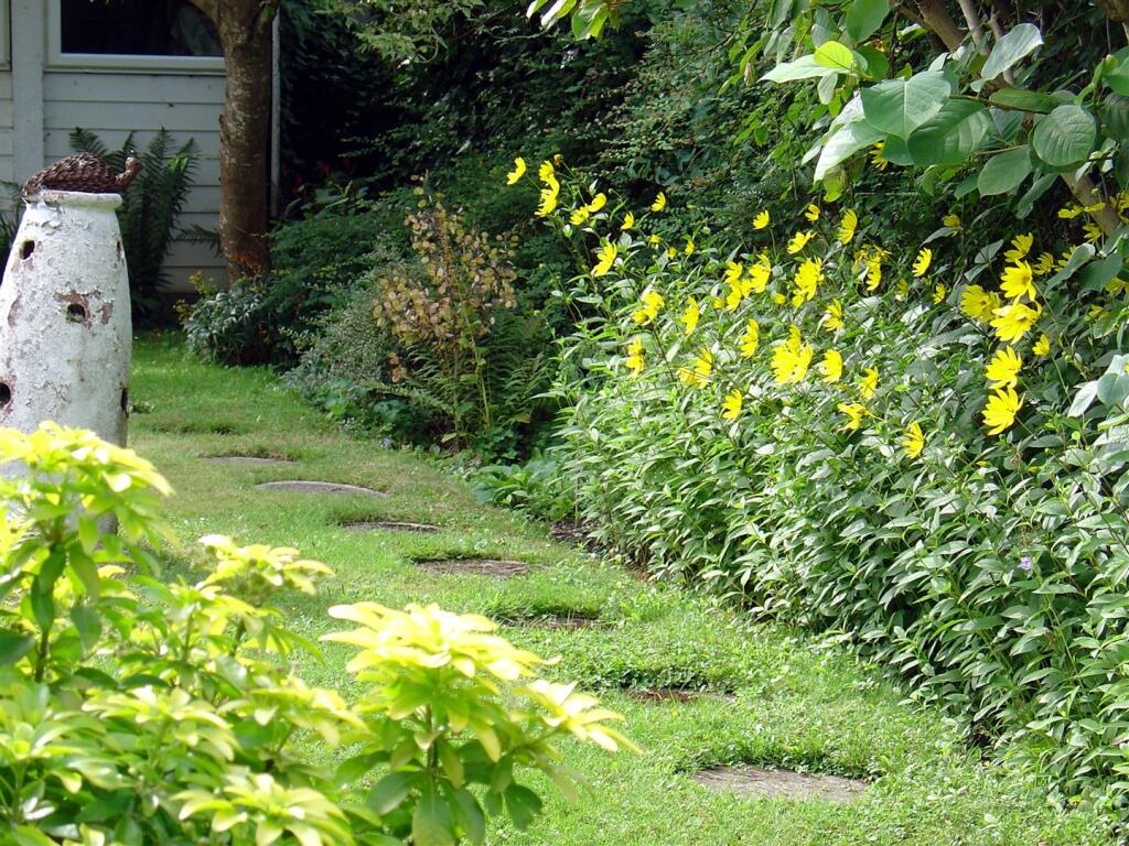 GARDEN