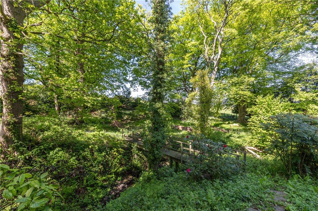 Woodland