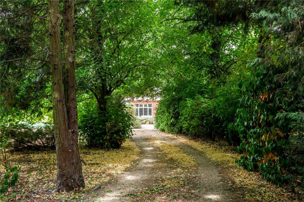 Driveway
