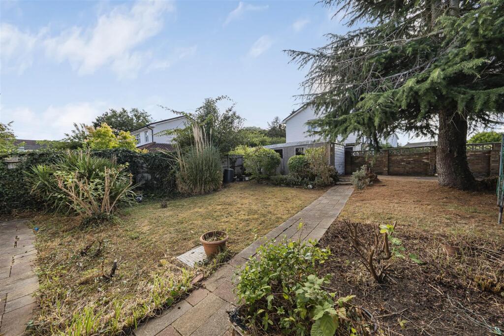 Photo Aug 05 2025, 8 52 36 AM.jpg