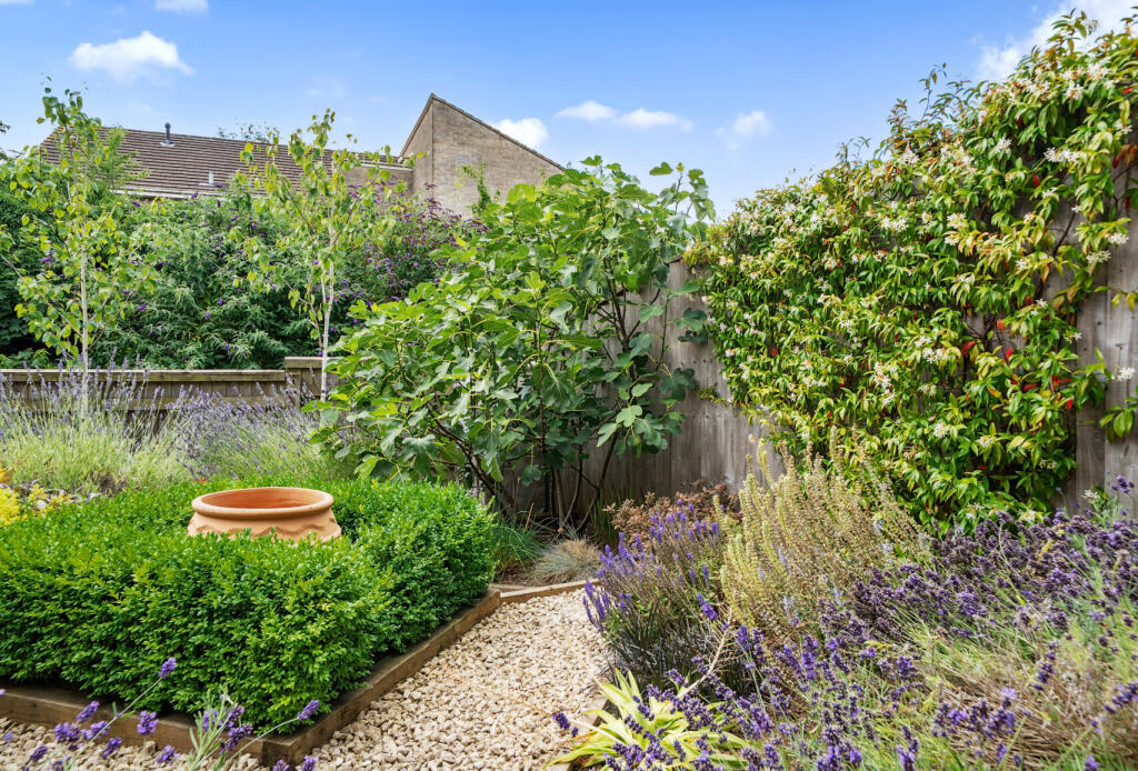 1321547-1-6875532...