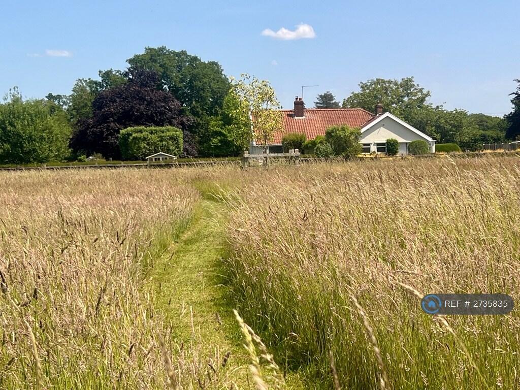 Field Views 