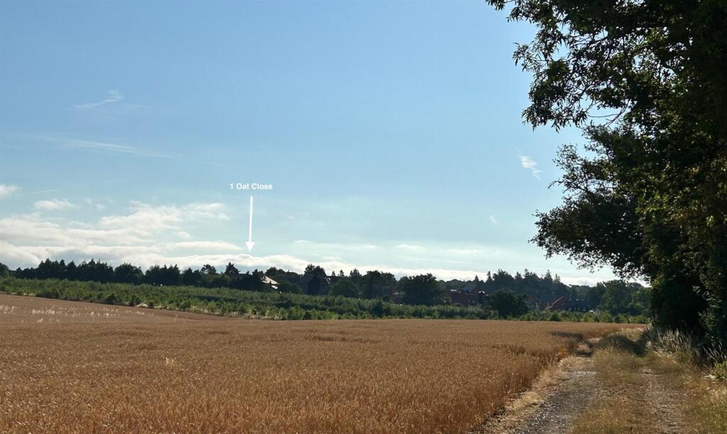 Surrounding countryside