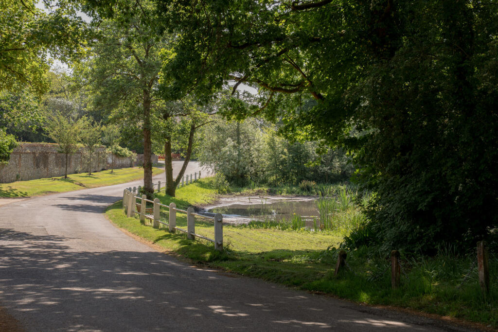 284987 - _A740941.jpg