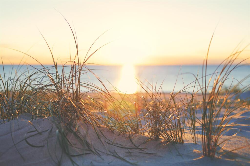 iStock-465068170.jpg