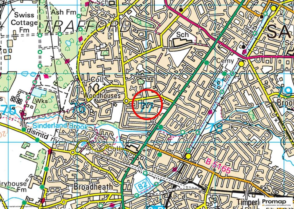 Town Plan