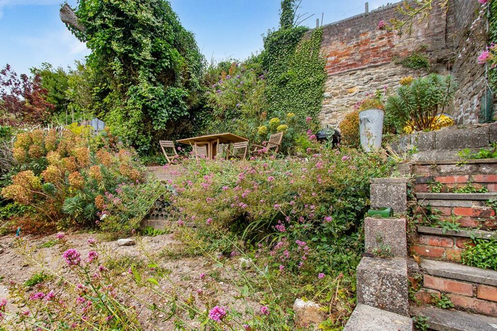 garden2.jpg