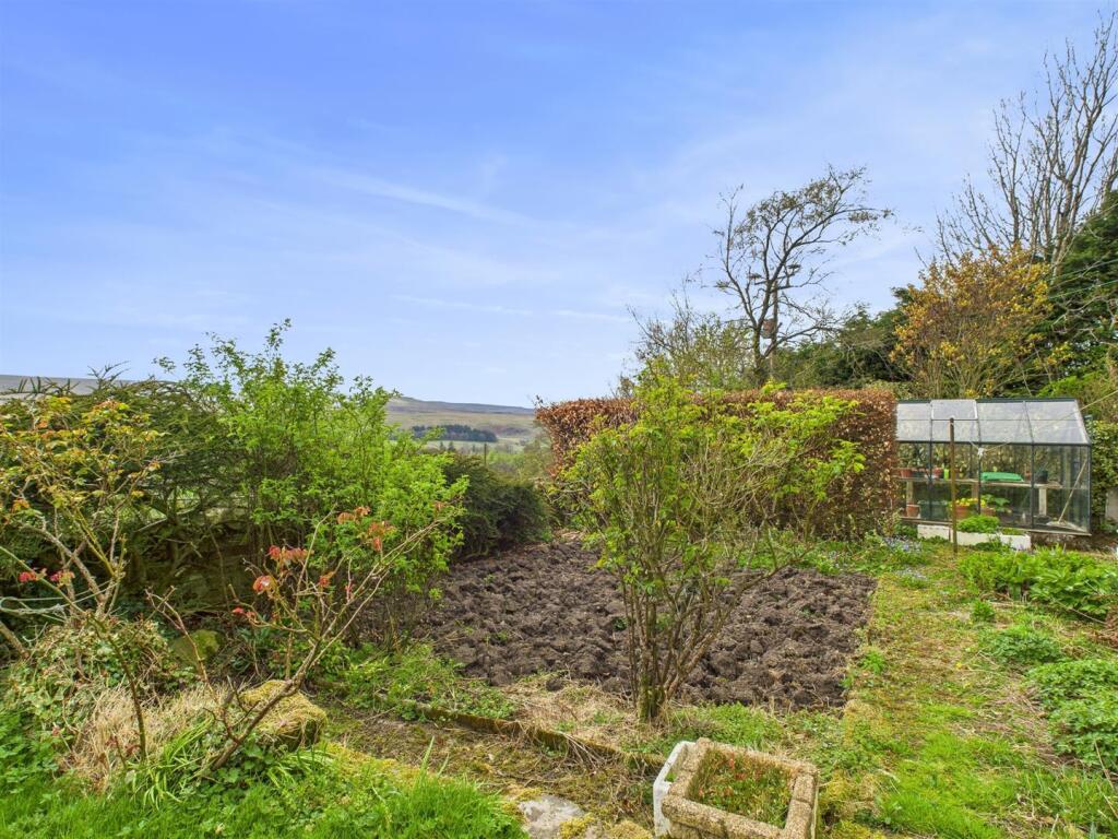 Front Garden.jpg