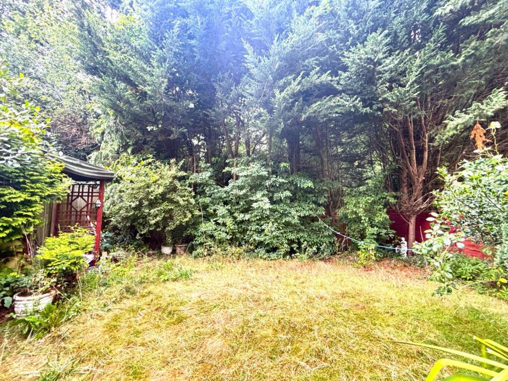 Garden.jpeg