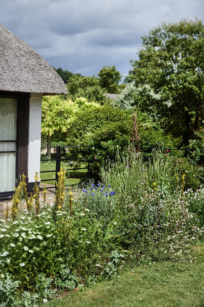 288924 - DGLA0070.jpg