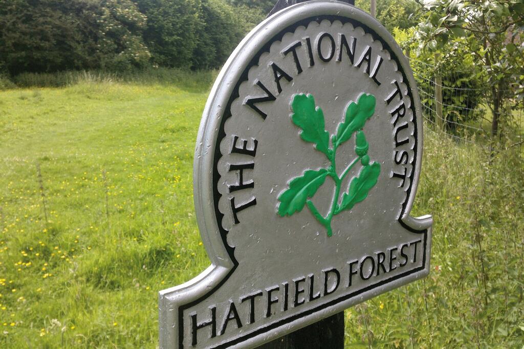 Local Area Photography