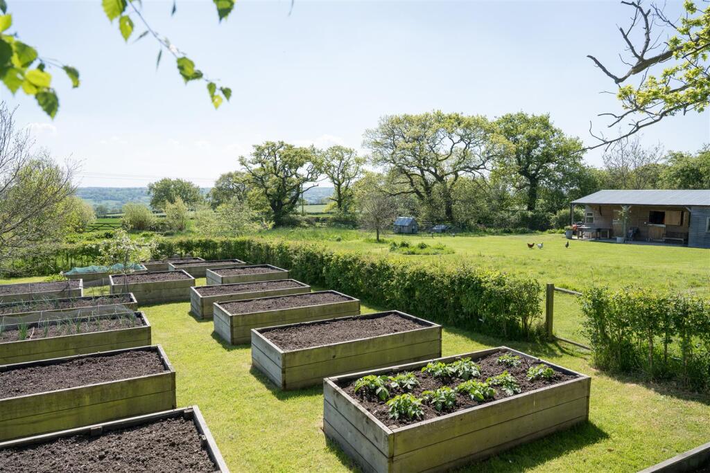Vegetable Garden