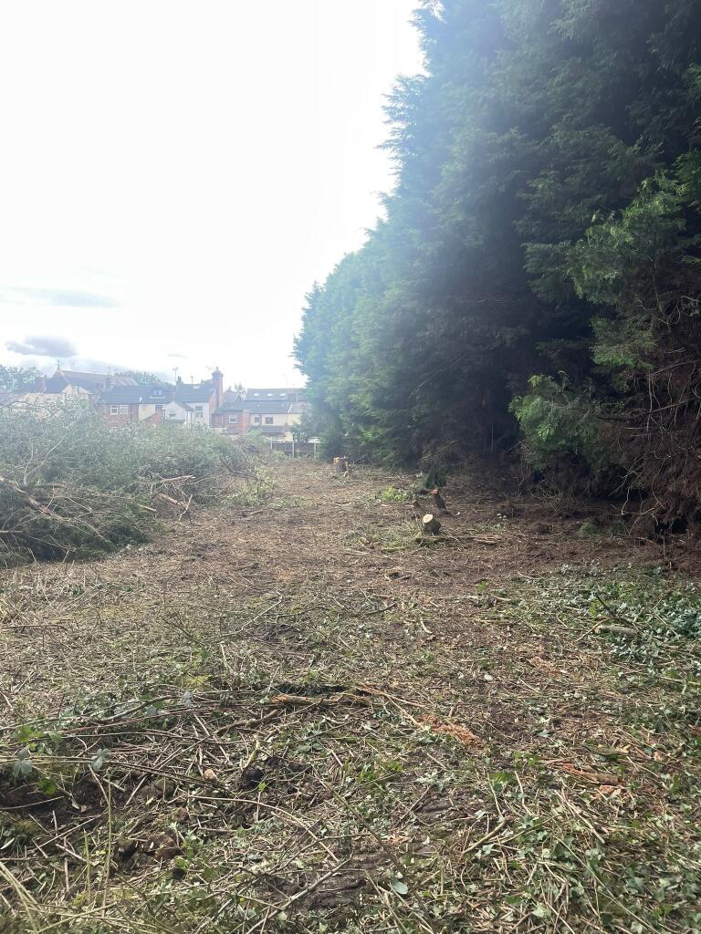 IMG 4069 T202510291306.jpg